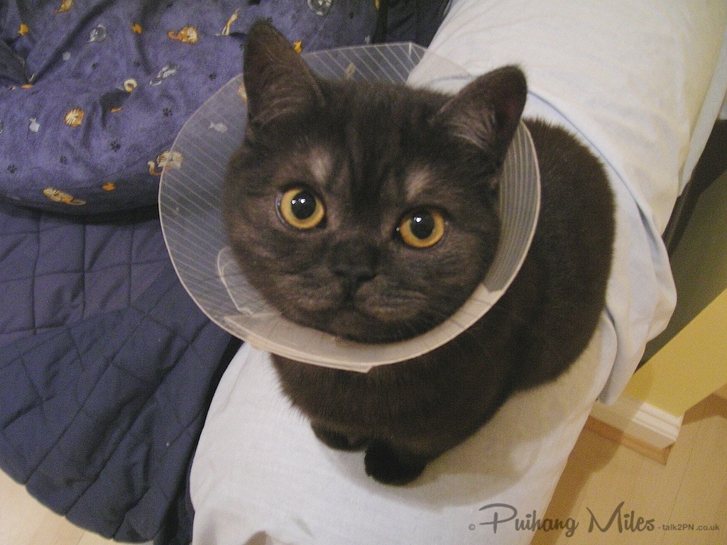 Cindy with cone